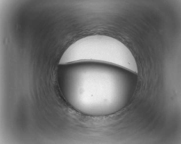 X0000067460037200604070938