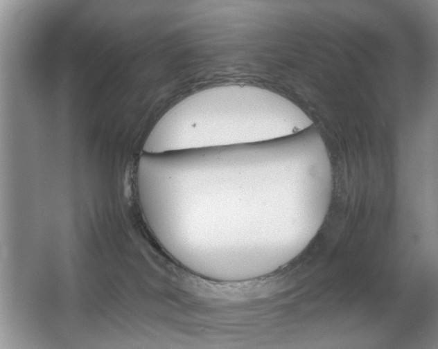 X0000067460038200604070938