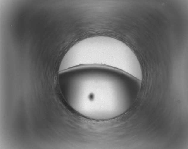 X0000067460039200604070938