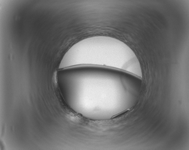 X0000067460041200604070938