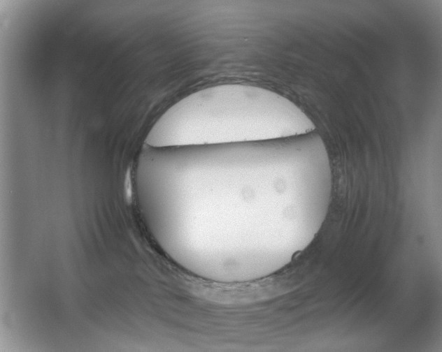 X0000067460042200604070938