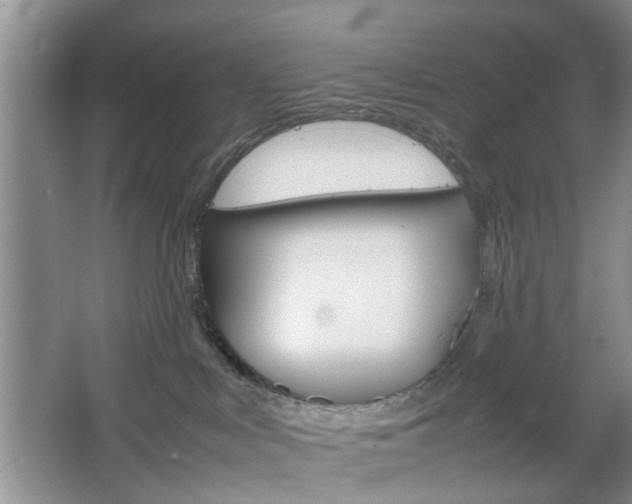 X0000067460043200604070938