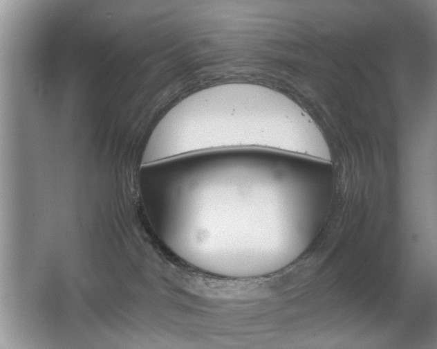 X0000067460044200604070938