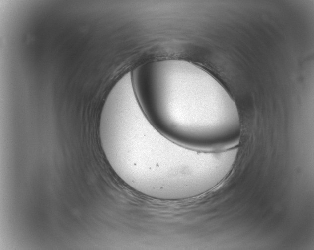 X0000067460045200604070938