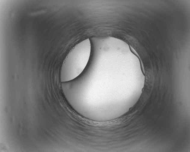 X0000067460046200604070938