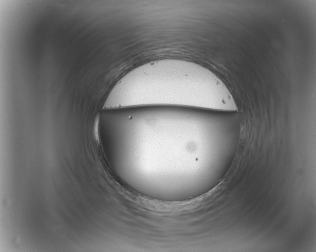 X0000067460047200604070938