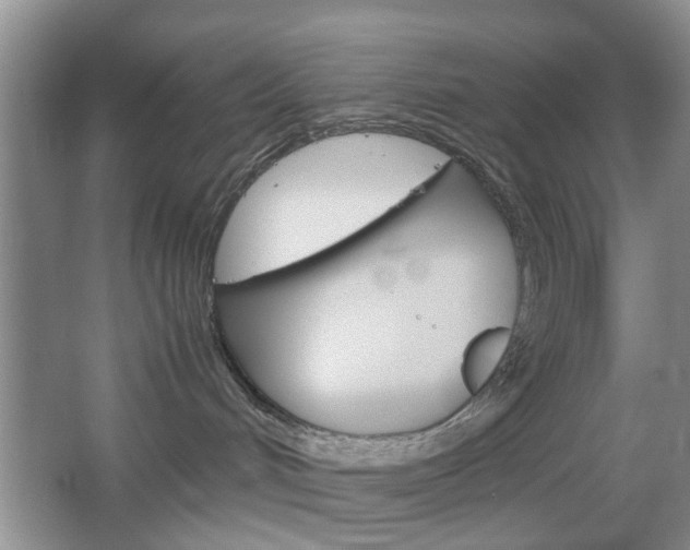 X0000067460048200604070938