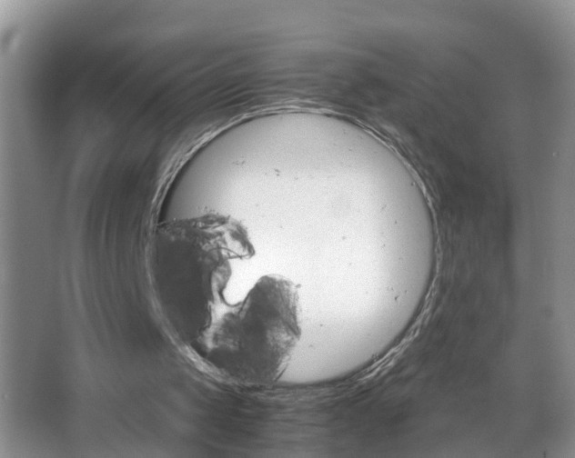 X0000067460049200604070937