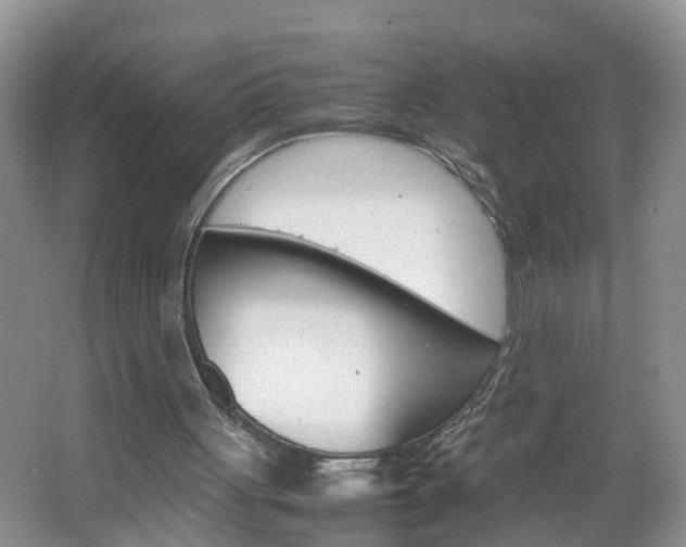 X0000067460051200604070937