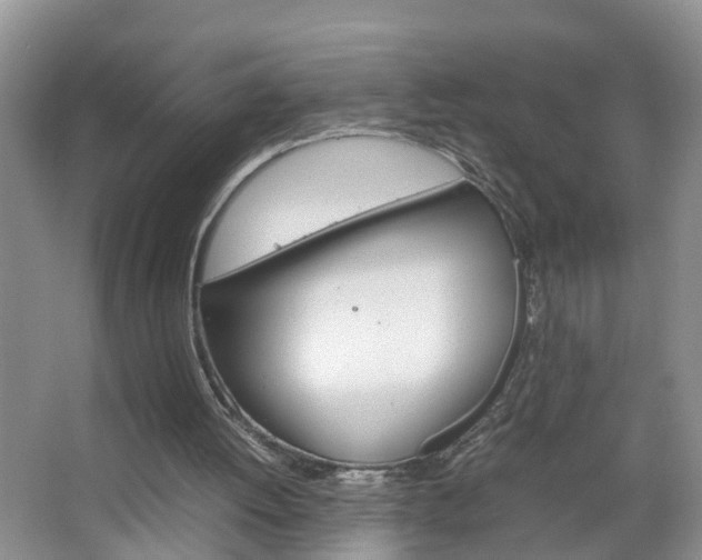 X0000067460052200604070937