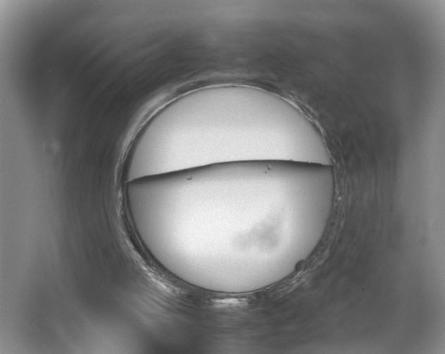 X0000067460053200604070937