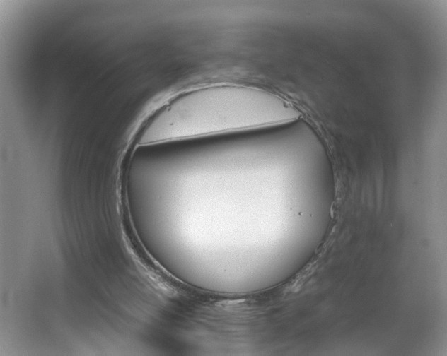 X0000067460054200604070937