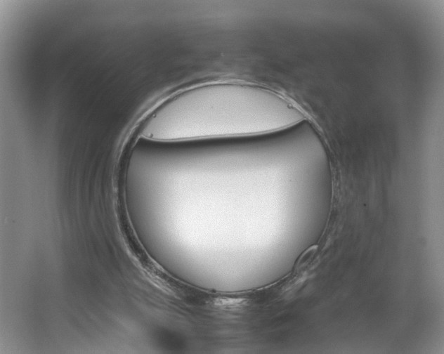 X0000067460055200604070937