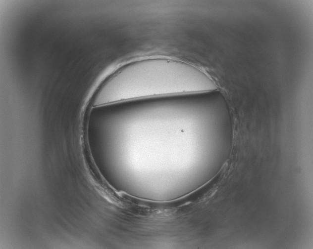 X0000067460056200604070937