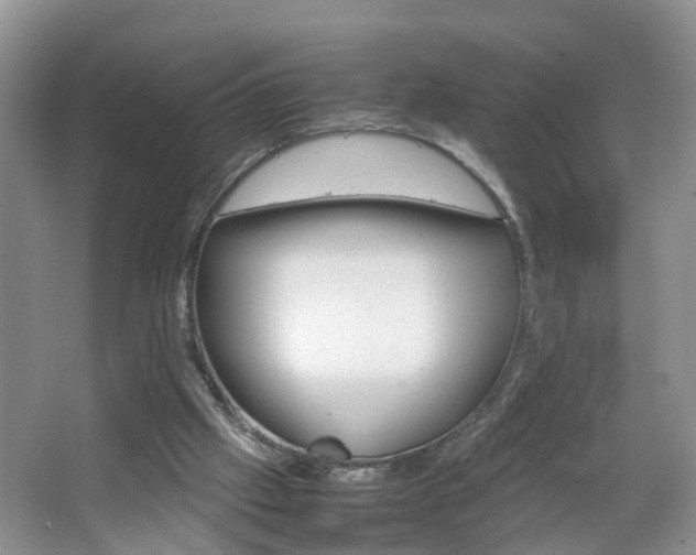 X0000067460057200604070937