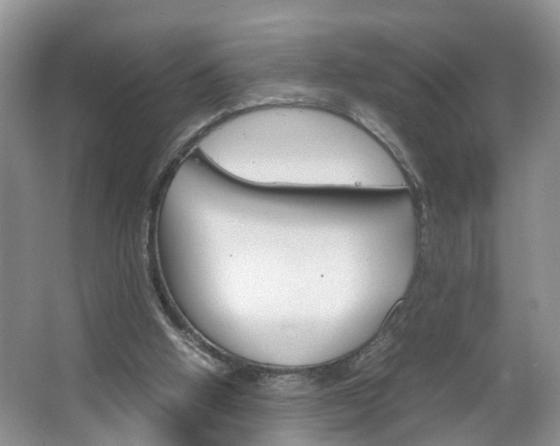 X0000067460058200604070937