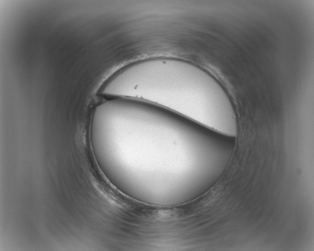 X0000067460060200604070937