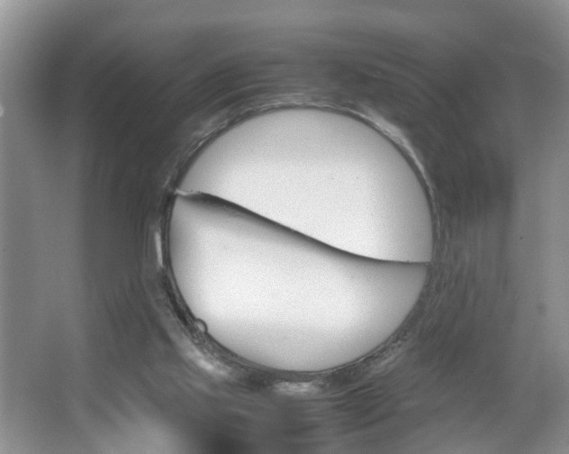 X0000067460061200604070937