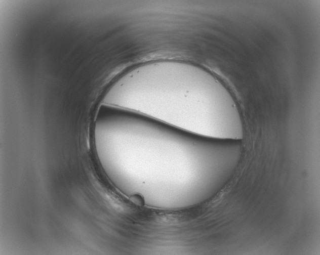 X0000067460062200604070937