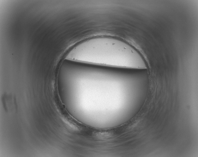 X0000067460063200604070937