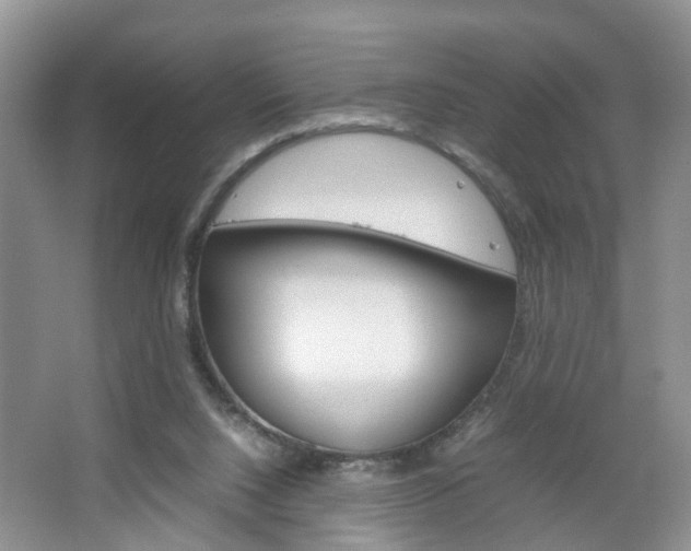 X0000067460064200604070937