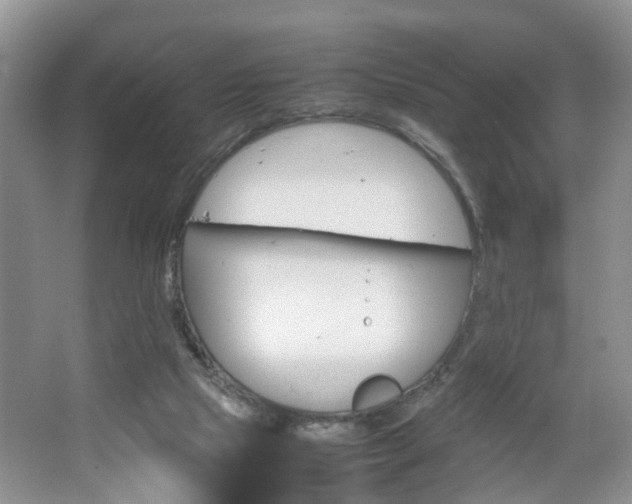 X0000067460065200604070937