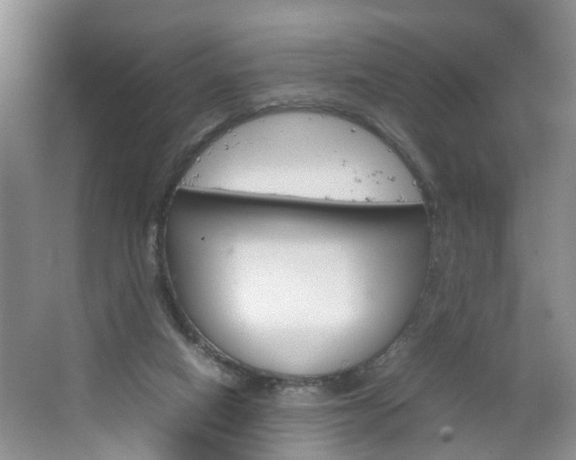 X0000067460066200604070937