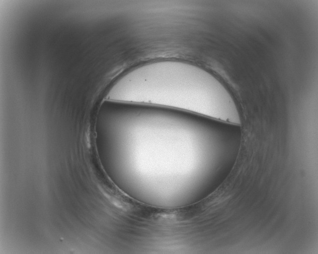 X0000067460068200604070937