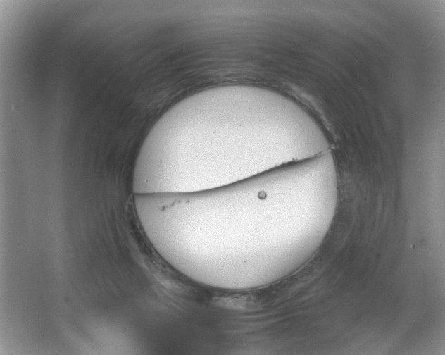 X0000067460069200604070937