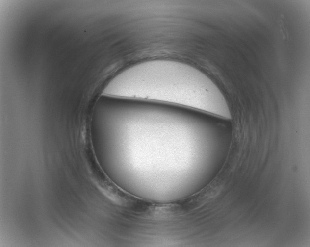 X0000067460072200604070937