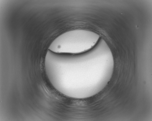 X0000067460073200604070937