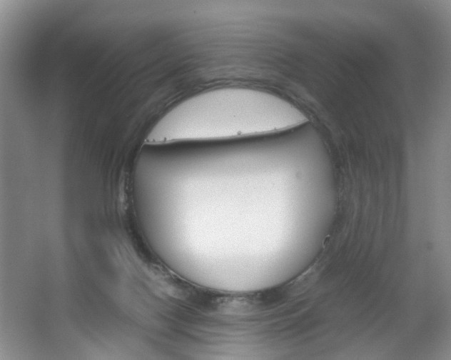 X0000067460074200604070937