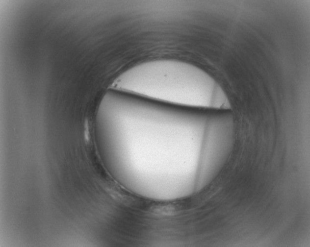 X0000067460075200604070937