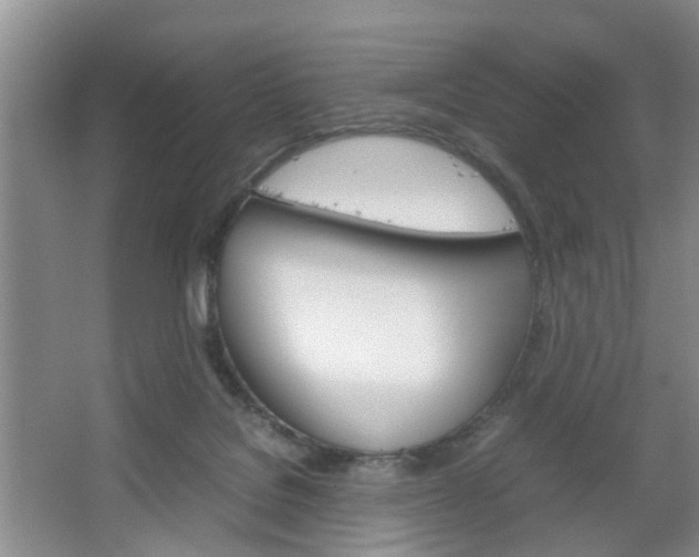 X0000067460076200604070937