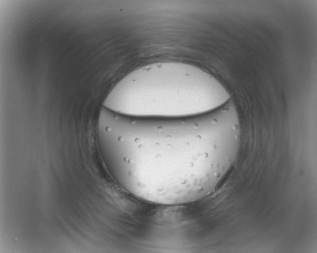 X0000067460078200604070938