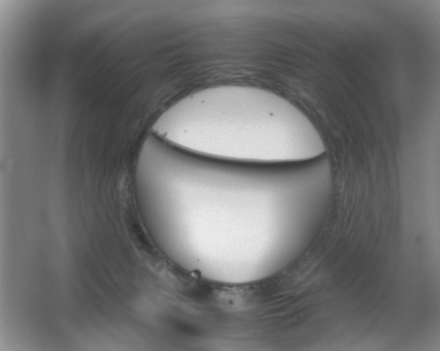 X0000067460079200604070938