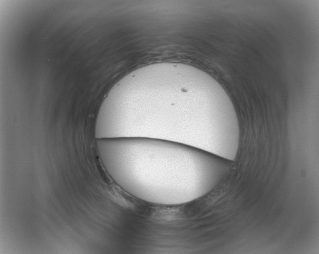 X0000067460081200604070938