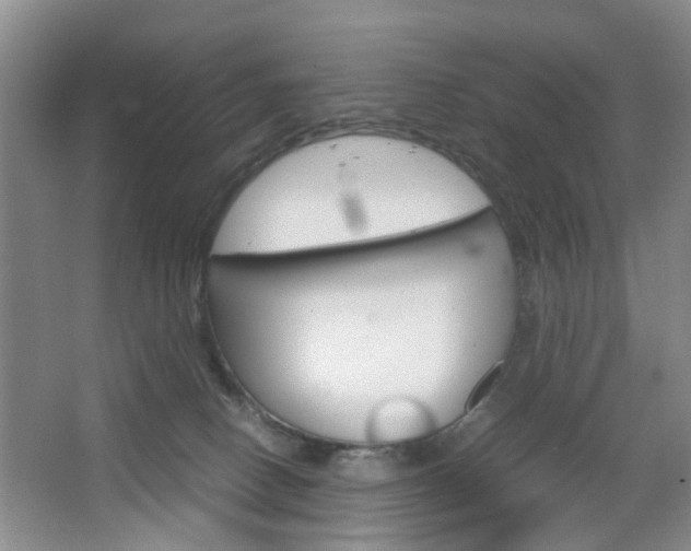 X0000067460082200604070938