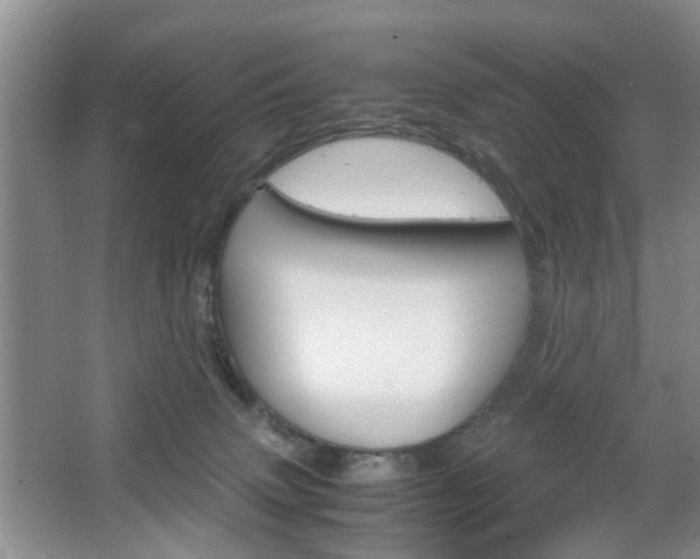 X0000067460083200604070938