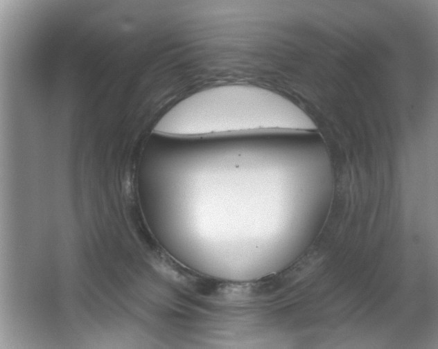 X0000067460084200604070938