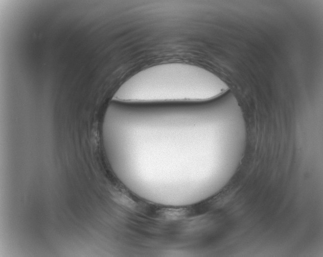 X0000067460085200604070938