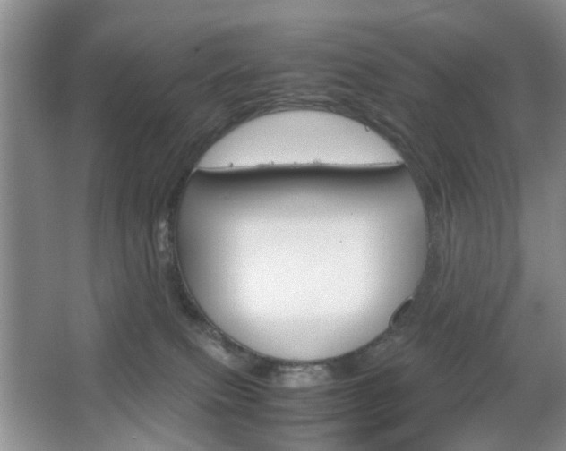 X0000067460087200604070938