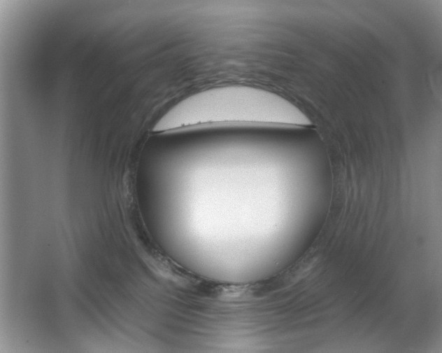 X0000067460088200604070938