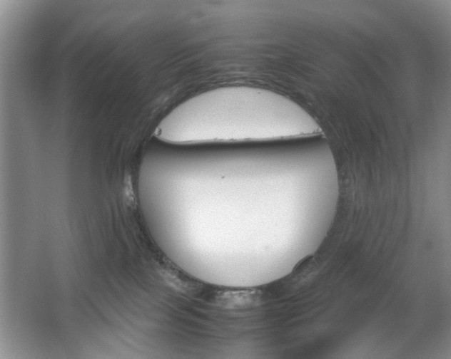 X0000067460089200604070938