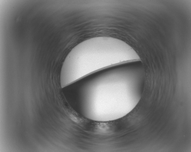 X0000067460091200604070938