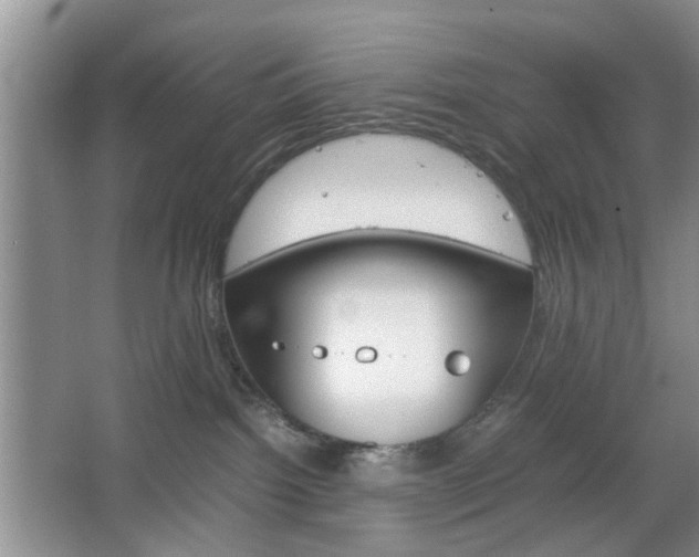 X0000067460092200604070938