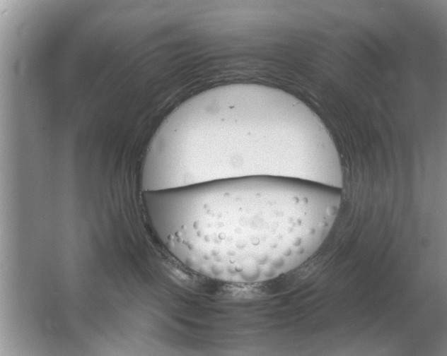 X0000067460093200604070938