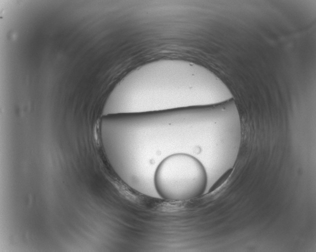 X0000067460094200604070938