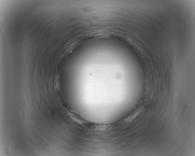 X0000067460096200604070938