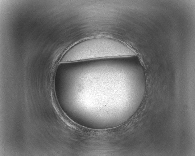 X0000067460097200604070937